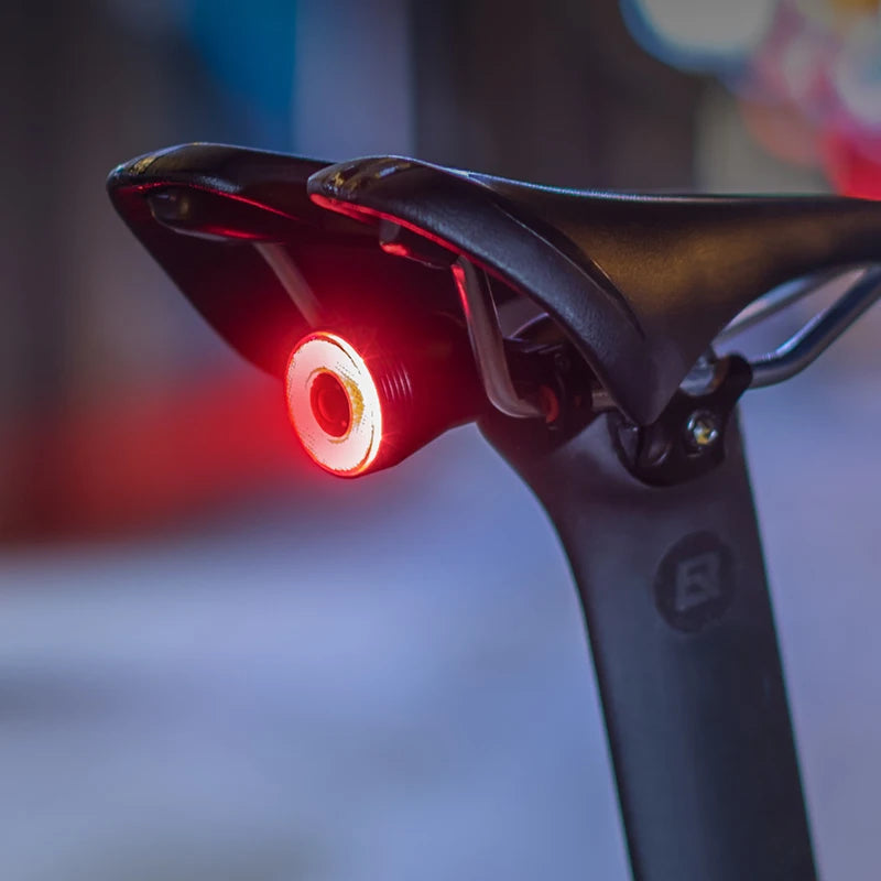 ROCKBROS Feu arrière de vélo intelligent à détection de freinage automatique IPx6 étanche LED de charge feu arrière de vélo accessoires de feu arrière de vélo